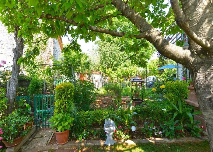 Spacious With Garden بوريتش