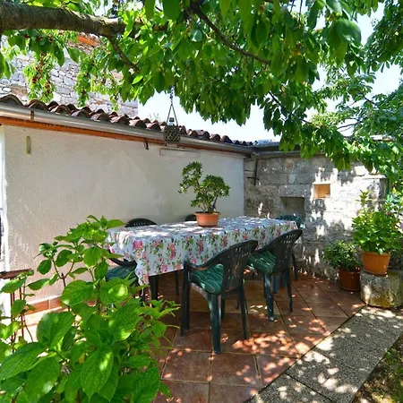 Spacious With Garden Apartman