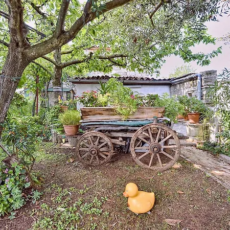 Spacious With Garden * Poreč