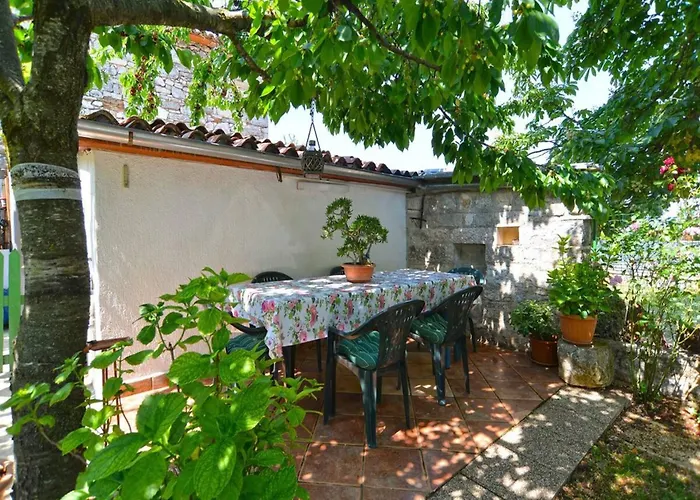 Spacious With Garden Apartamento