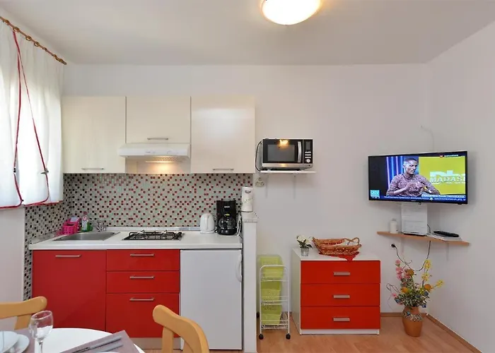 Spacious With Garden Apartamento