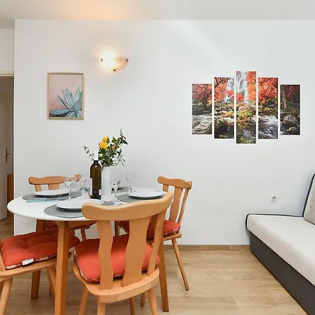 Spacious With Garden 公寓